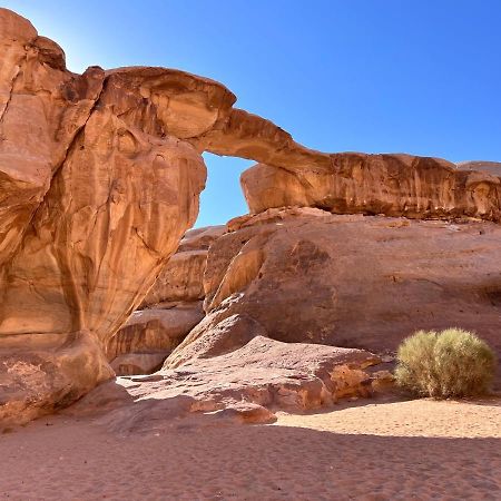 Wadi Rum Tents Bagian luar foto