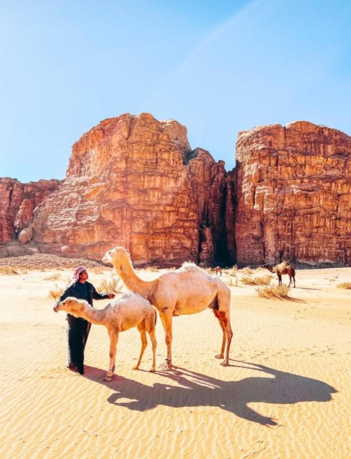 Wadi Rum Tents Bagian luar foto